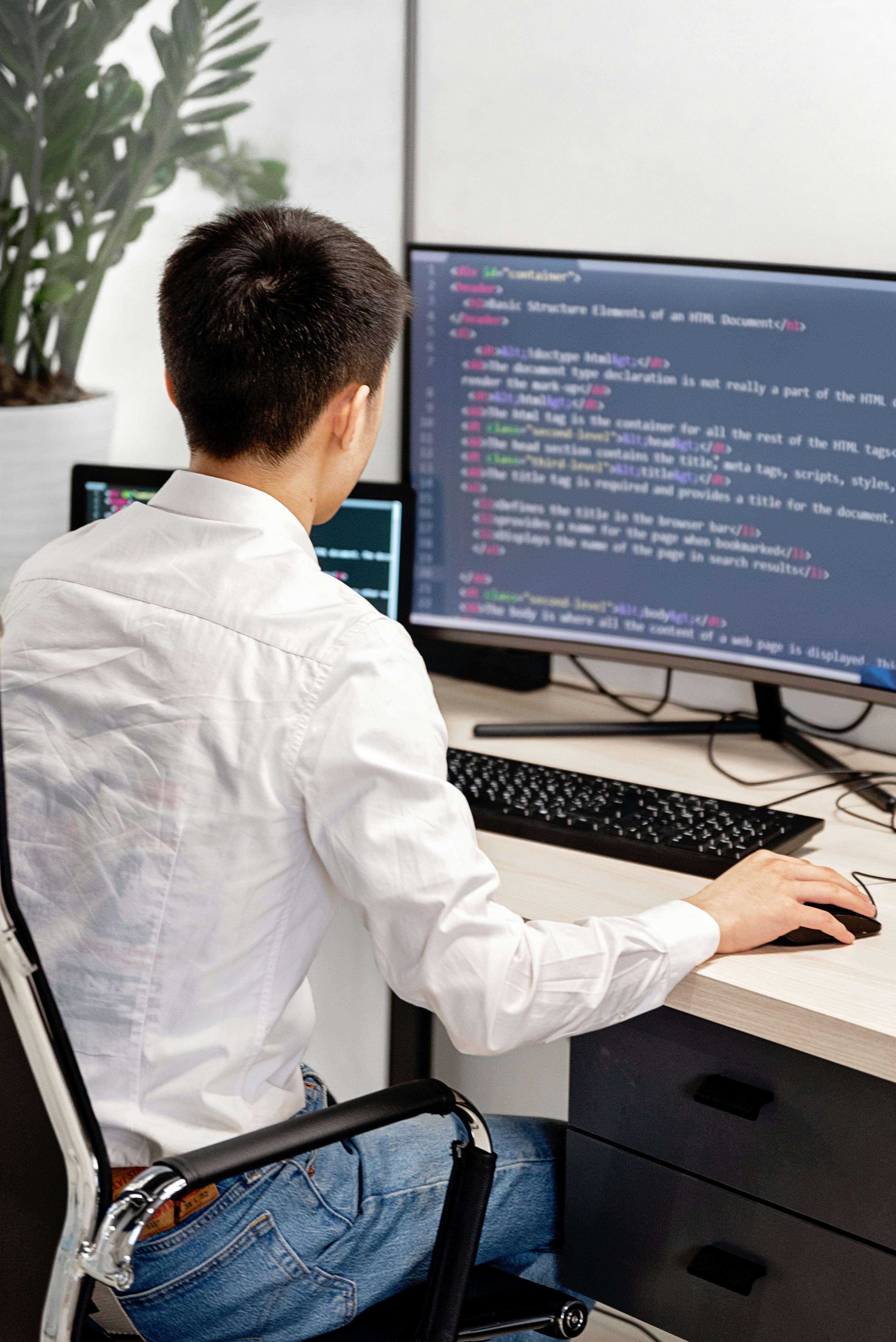 Computer Programming Service visual